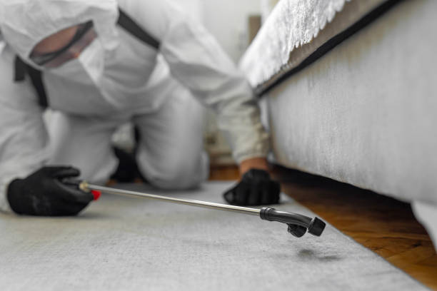 Professional Bed Bug Control technician working in Adwolf, VA