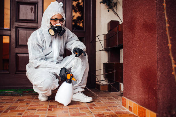Reliable Bed Bug Control contractor in Adwolf, VA by Nex Pest Control