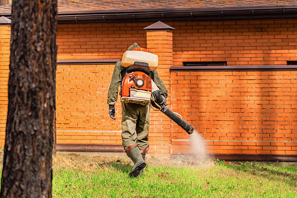 Trusted Emergency Pest Control service in Adwolf, VA - Nex Pest Control